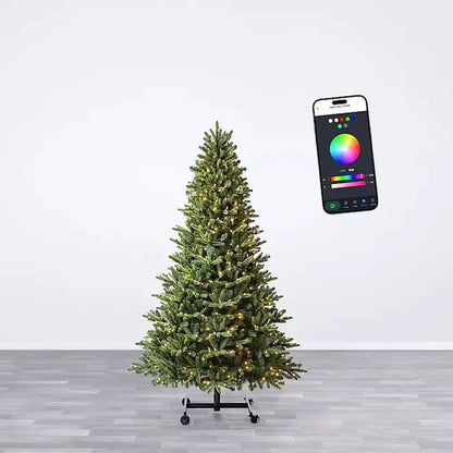 Lumina Fir