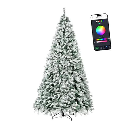 Lumina Fir