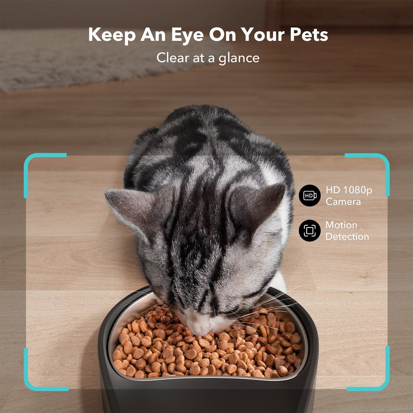 Fynn Smart Camera Feeder