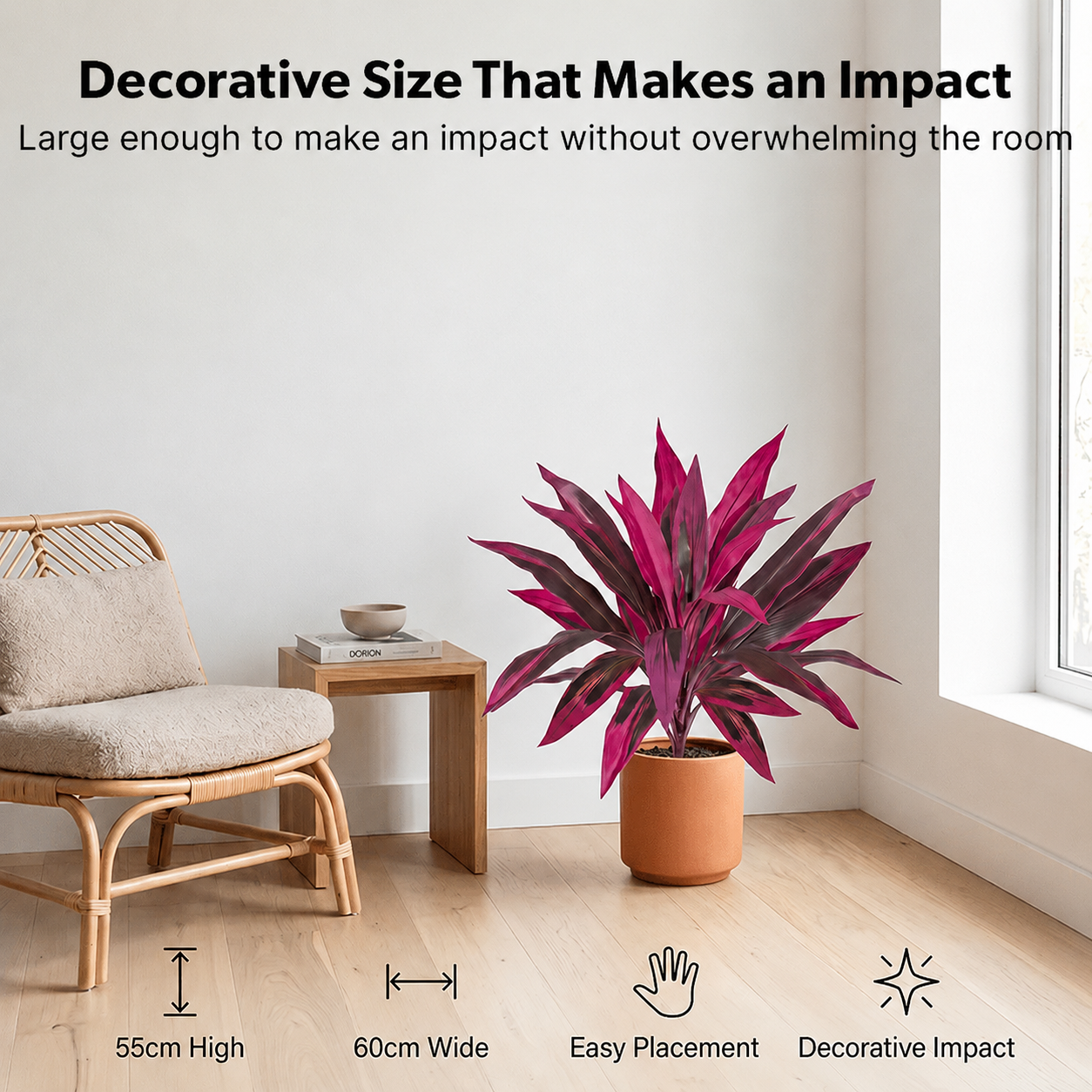 Tropical Color Patio Plant Set