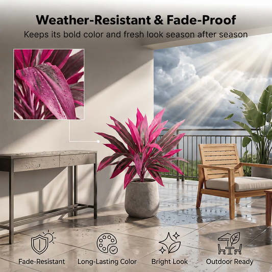 Tropical Color Patio Plant Set
