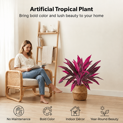 Tropical Color Patio Plant Set